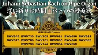 【パイプオルガンで聴くバッハ】魂の聖歌：赦しと救いのコラール集｜Melodies of Mercy and Salvation – Bach Organ Chorales