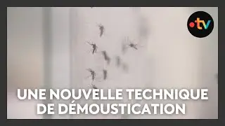 Une technique de d&eacute;moustication pour r&eacute;duire les nuisances tout en pr&eacute;servant l'environnement.