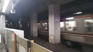 堺筋線66604リニューアル動物柄