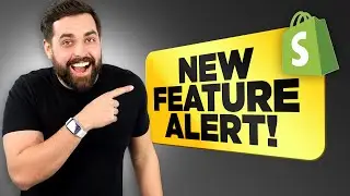 The Shopify Feature Everyone Needs NOW