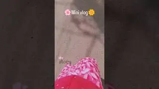 Mini vlog 3/365🌼🌸#shortvideos #minivlog #love #bollywoodsongs #explore #viralshort #viralvideos