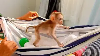 Such A Sweet Time After Wake Up Before Bath.