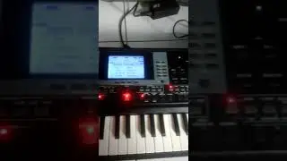 style gambus micro aranger