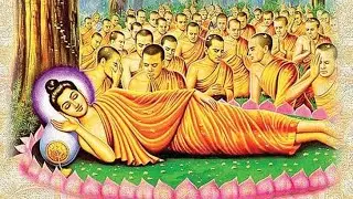 Daily Pali Reading -- The Buddha's Last Words : no Pali grammar!!!
