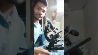 #platelets #dmlt #bmlt #lab #labtechnician #bscmlt #mlt #viralvideo #labvideo#labstatus