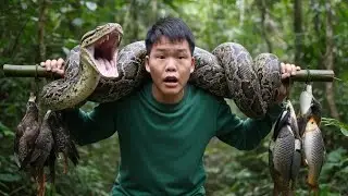 Survival in the Wild: Tracking Wild Pheasants & Deadly Confrontation with a Giant Python
