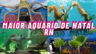 😱 Conheça o MAIOR Aquário de Natal (RN) 🐠 O Mais Lindo que Já Vi! Vários Peixes e Animais Terrestres