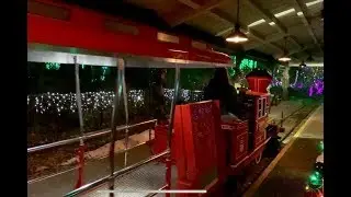 Denver Zoo Train - Zoo Lights 2019