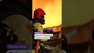 Duizenden kippen dood na brand in Vessem