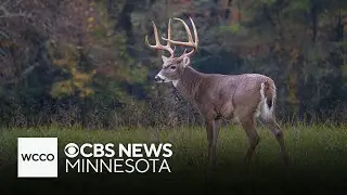 Follow these essential deer hunting safety tips