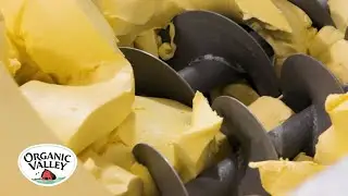 Organic Valley Butter Production Line at Chaseburg Creamery