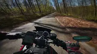 Triumph Street Triple 675R - Serene forest