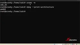 How to determine the OS architecture 32-bit or 64-bit on a Linux