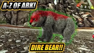 A-Z Of Ark! The DIREBEAR And Why Its The Cuddliest Killer!! || Ark Survival Evolved!