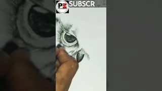 Easy Owl Drawing | Owl Eye painting 🙏🙏. #shorts #owleye