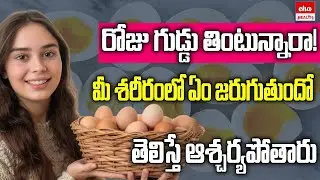 Amazing Health Benefits Of Eating Eggs in Daily | రోజు గుడ్డు తింటున్నారా?| Health Tips | Eha Health