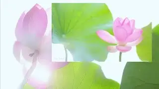 🪷🫧𝐹𝑟𝑒𝑠ℎ 𝑎𝑛𝑑 𝑁𝑎𝑟𝑢𝑡𝑎𝑙 𝐵𝑒𝑎𝑢𝑡𝑦 + 𝐴𝑛𝑔𝑒𝑙𝑖𝑐𝑎𝑙 𝐹𝑎𝑐𝑒 + 𝐹𝑎𝑐𝑖𝑎𝑙 𝑆𝑖𝑚𝑚𝑒𝑡𝑟𝑦ଓ #444 #beautysubliminal #fresh 