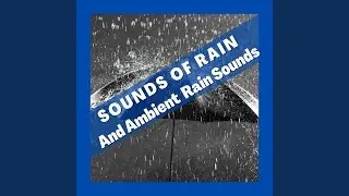 Afternoon Rain Forest Ambience with Birds and Insects