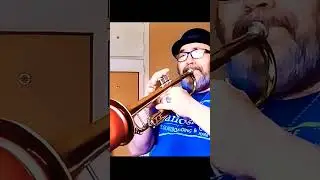 Garota de Ipanema - #shorts #covers #trompeta #trumpet #blues #rock #jazz #musica #bossanova  #music