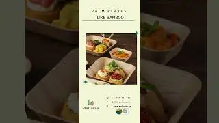 Palm Leaf Square Bowls Like Bamboo 🌿 | Eco-Friendly Dining Made Simple