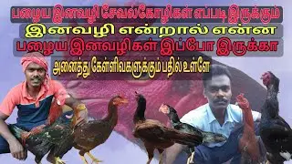 பழைய இனவழி சேவல்கோழிகள் இப்போ இல்லையா இனவழி அப்டினா என்ன?#tamilnaduaseel @TN31DANGERASEELS