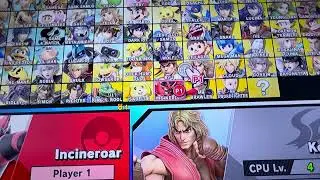 Epic fights in Super Smash Brothers !