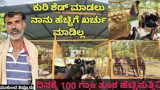 ದಿನಕ್ಕೆ 100ಗ್ರಾಂ ತೂಕ ಬರುವ ಹಾಗೆ ನಾನು ಕುರಿಮೇಕೆಗಳನ್ನು ಸಾಕುತ್ತೇನೆ ತಾಳೆ ಬೆಳೆಯುವವರು ತಪ್ಪದೇ ಮೇಕೆ ಕುರಿ ಸಾಕರಿ