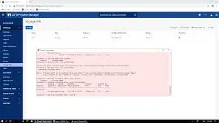Veeam B&R 11 and ONTAP 9.8  SVM-scoped NDMP Setup