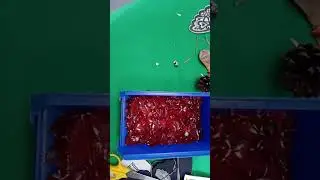 Putting plastic hearts into a box to upcycle. Part 8 Behind the senes 
