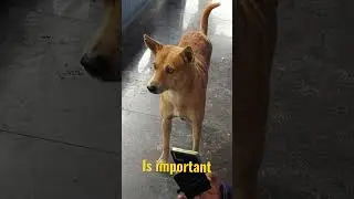 Customer Satisfaction
