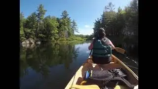 The Massasauga Provincial Park