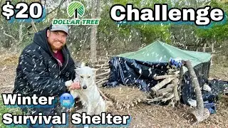 7 Day $20 Dollar Tree Survival Challenge - Day 5 - Winter Survival Shelter