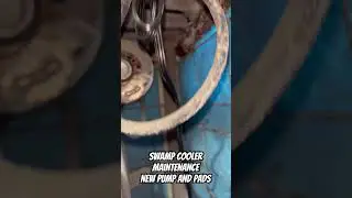 Swamp cooler maintenance new water pump and cool pads with a deep clean