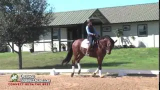 Dressage Training with Chrissa Hoffman Focusing on Consistent Contact