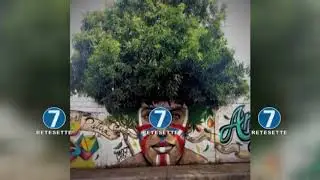 CESPUGLI E MURALES: IL VIDEO DIVENTA VIRALE