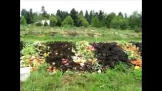 Northwest redworms worm operation, the outdoor windrow in the spring