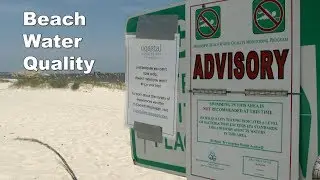 Beach Water Quality - Bacteria vs Harmful Algal Bloom