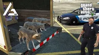 GTA 5 Roleplay - ARP - #86 -  Dingoes Gone Wild!