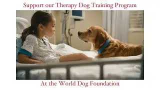 Therapy Dog Training Program needs your support the World Dog Foundation