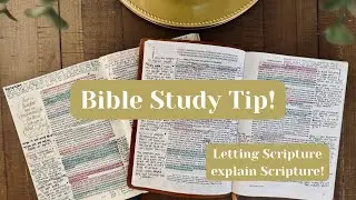 Bible Study Tip! Letting Scripture explain Scripture | ESV Illuminated Bible and CSB Woman&rsquo;s Bible