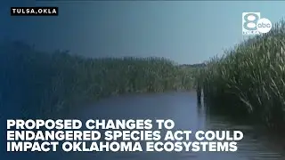 Proposed changes to Endangered Species Act could impact Oklahoma ecosystems