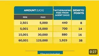 Changes in the MTN Mobile money 2025/2026