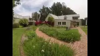 Pepper Tree Wines