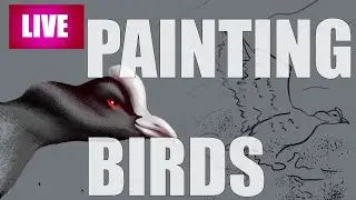 PAINTING BIRDS | LIVE DRAWING SESSION