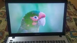 Ноутбук Asus 15.6 i5 и gt 840