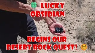 🍀 Lucky Obsidian Begins Our Desert Rock Quest! 🌞#obsidian #petrifiedwood #rocks | #rockhounding #wow