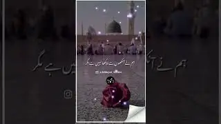 #محمد #12rabiulawal #naat #shorts #shortsindia #shortvideos #ytshorts #short #hidayatwritez #foryou