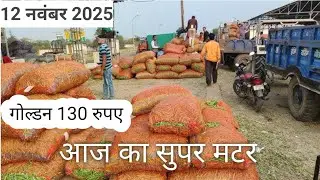 Matar Mandi bhav Badnawar Today | matar bhav aaj ka | #Matar Golden matar bhav | MANDI BHAV