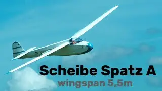 Scheibe Spatz A | 5,5m giant scale RC glider | 4K | Hat 2025