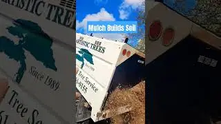 Life Hack: Get free mulch from local tree removal companies. This builds your soil to grow gardens.